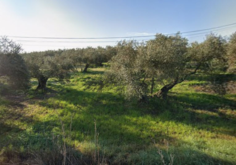 tasación finca rústica Girona