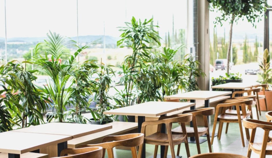 tasación oficinas Mallorca